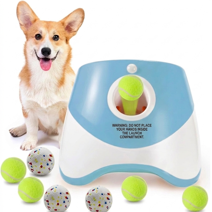Keep Your Dog Active & Happy — Even When You’re Busy.