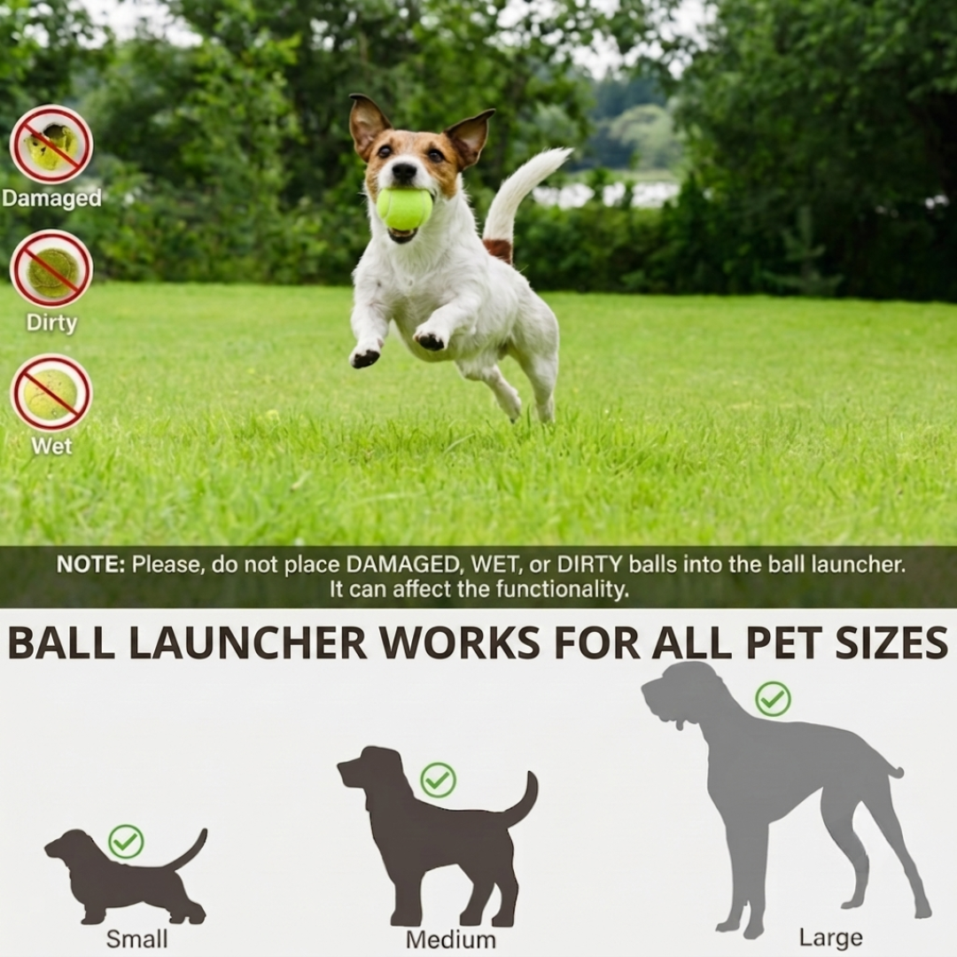 Keep Your Dog Active & Happy — Even When You’re Busy.