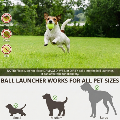 Keep Your Dog Active & Happy — Even When You’re Busy.